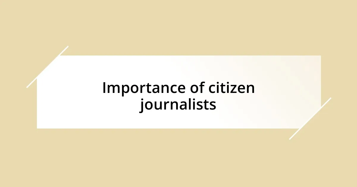 Importance of citizen journalists