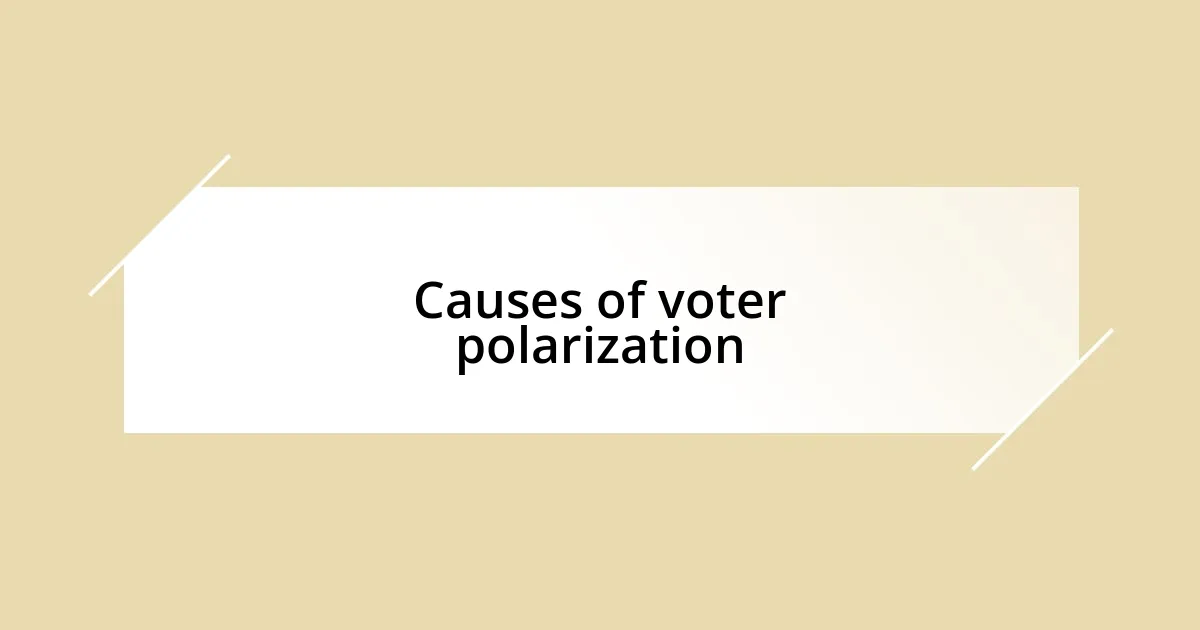 Causes of voter polarization