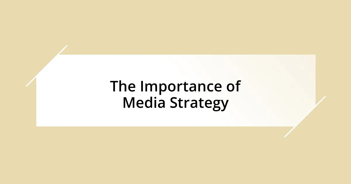 The Importance of Media Strategy