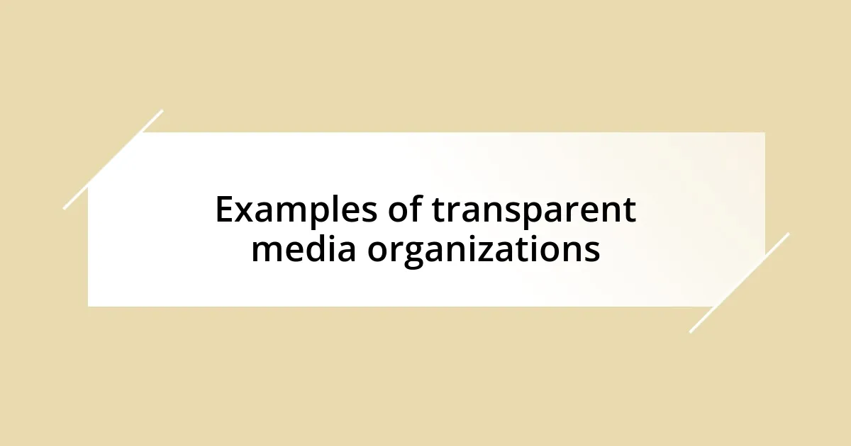 Examples of transparent media organizations